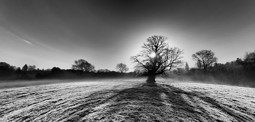 Older people on self-chosen&nbsp;death